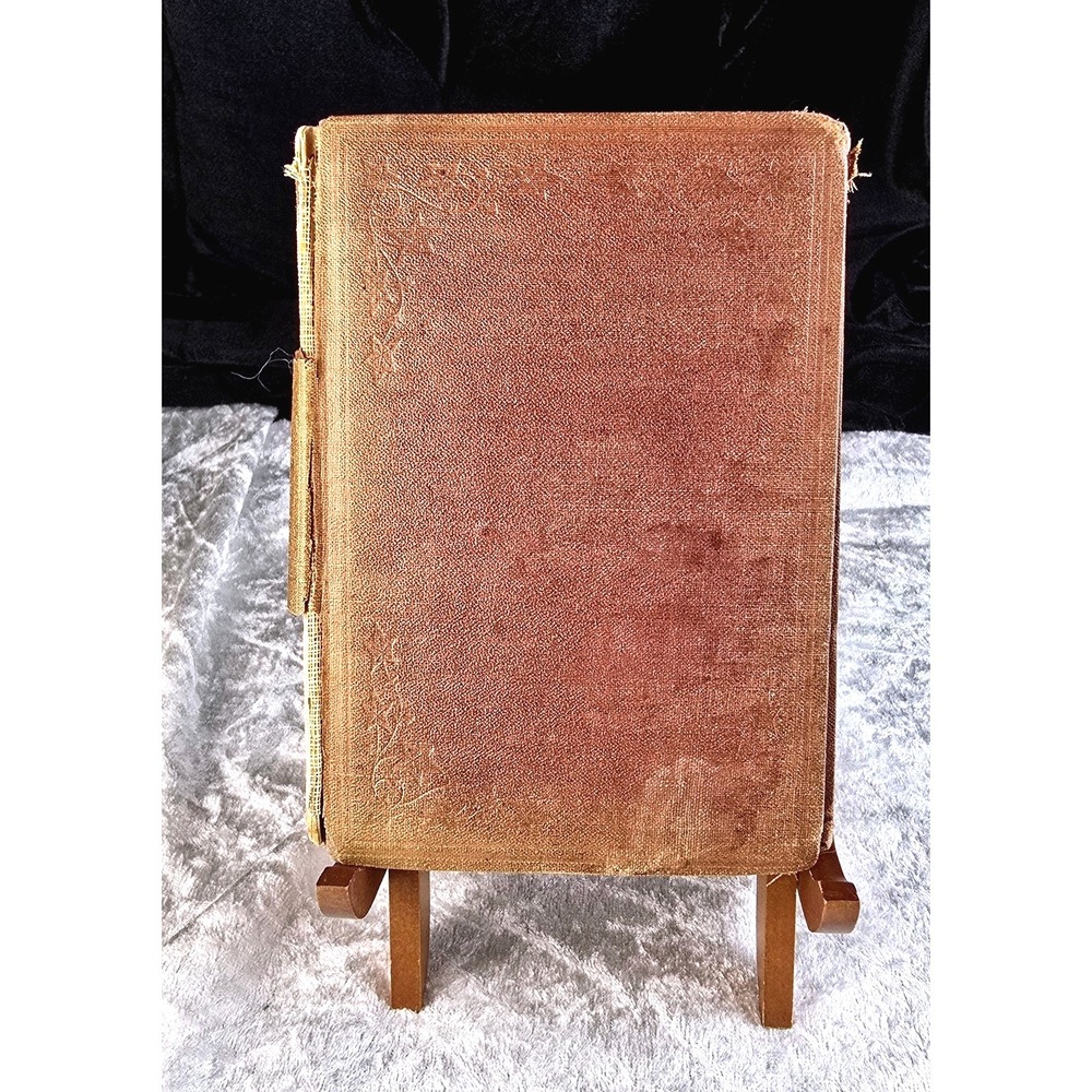 1800s Antique Hatty and Marcus First Steps Better Path‎  Illustrated Hardcover